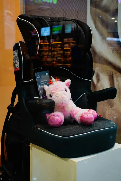 Autostoeltje met een knuffel erin